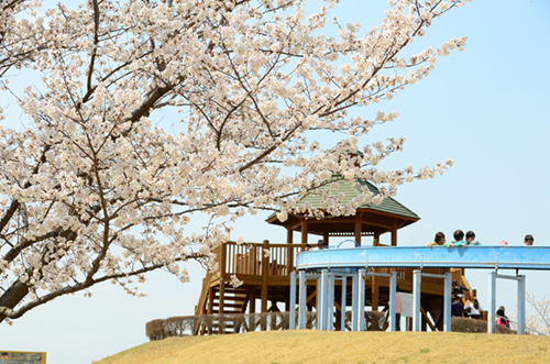 第一三共なかさと公園