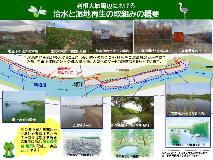 治水と湿地再生の取組みの概要2.jpg