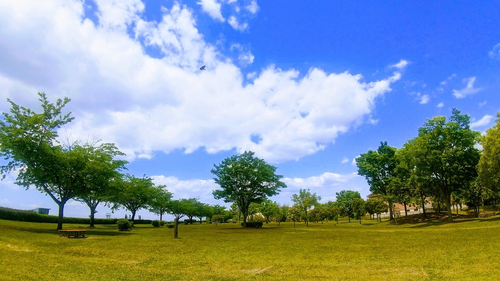 DSC_0155~3.JPG