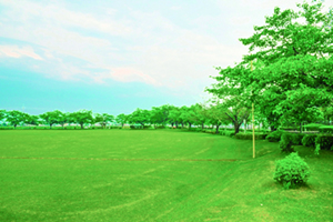 SEKIGUTI昭和公園野球場 | 群馬県千代田町公式ウェブサイト