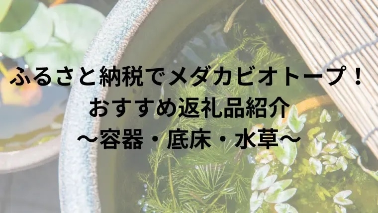 ふるさと納税でメダカビオトープ！おすすめ返礼品紹介　〜容器・底床・水草〜.jpg