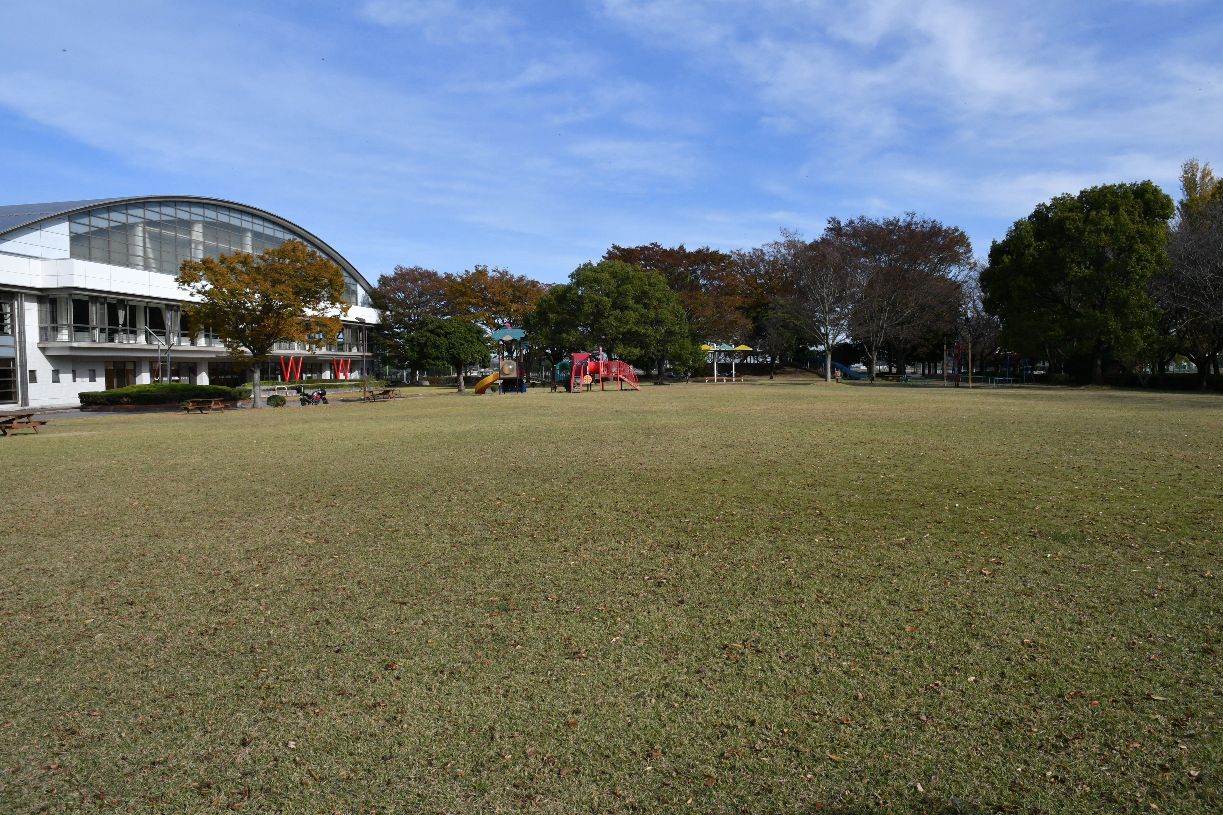 ☆芝生広場DSC_5058.JPG